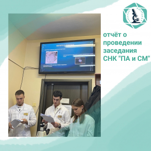 Отчет о проведении заседания СНК 